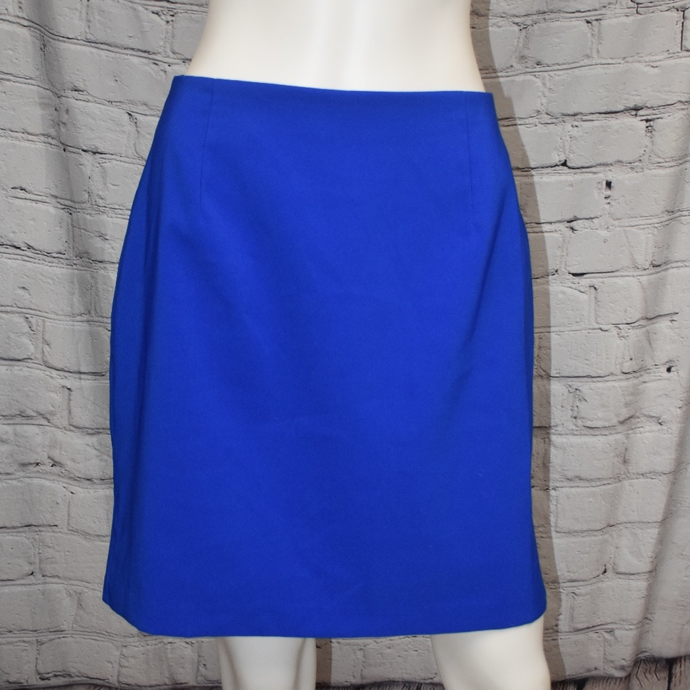 Blue Skirt